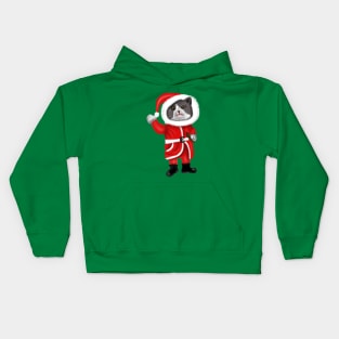 Santa Cat Funny Cat Lovers Christmas Gift Kids Hoodie